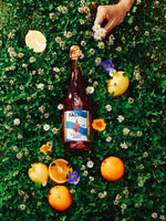 F'ALKO 750 ml · Better Orange Spritz 0%