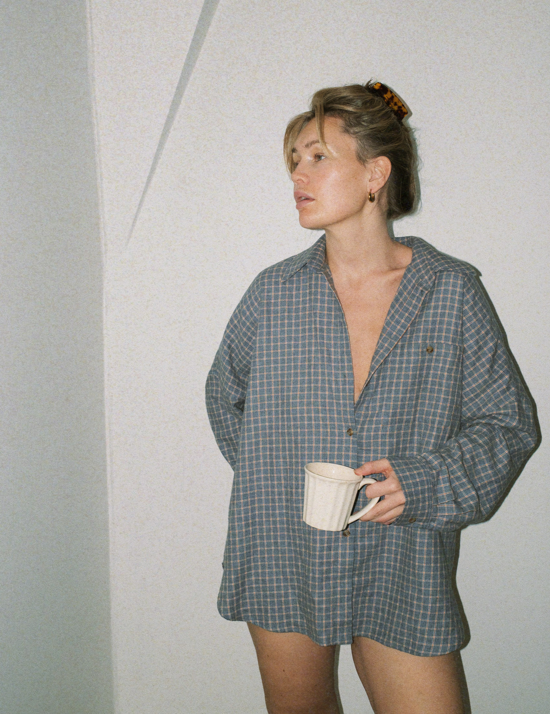 Flannel Check Shirt · blue-grey